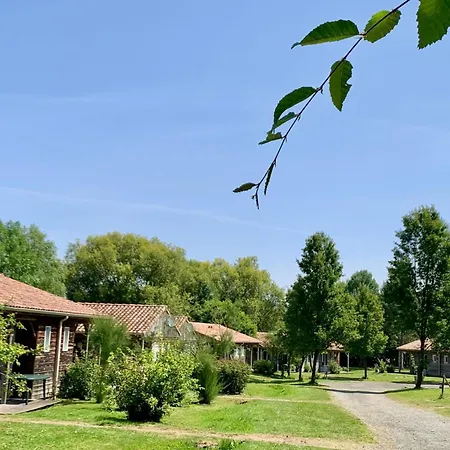 Nature Near Puy Du Fou